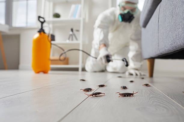 Commercial Rodent Management in Thatcher