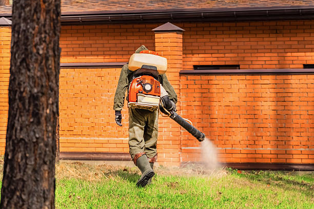 Rodent Follow-Up Monitoring in Thatcher